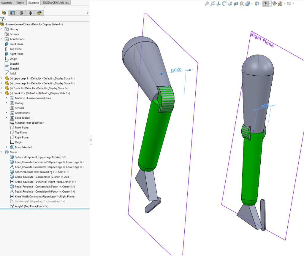 Simplified view of kinematic chain for cyclists leg and crank